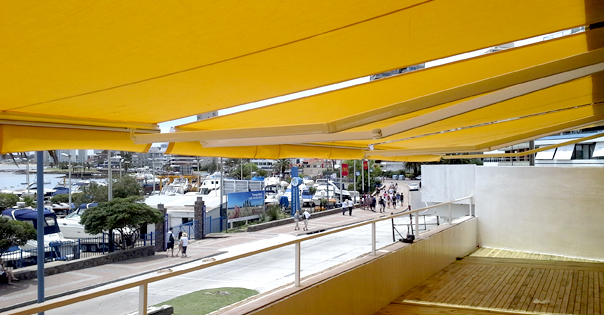 toldo brazo articulado 03